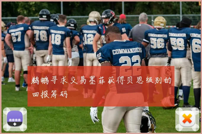 鹈鹕寻求交易墨菲获得贝恩级别的回报筹码