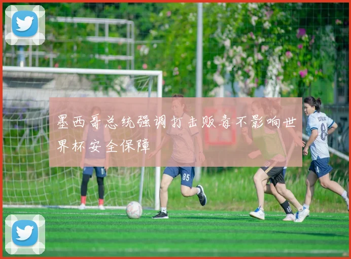 墨西哥总统强调打击贩毒不影响世界杯安全保障