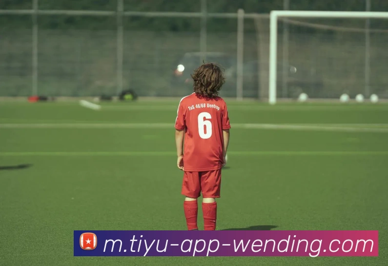 App Interface Preview