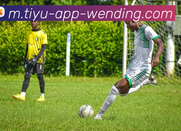 问鼎娱乐APP 封面图